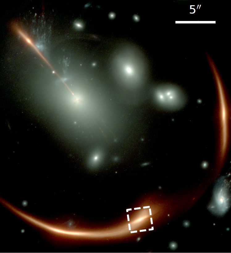 The jwst observation shows severl bright white elliptical galaxies and a warped red one forming an arc around them